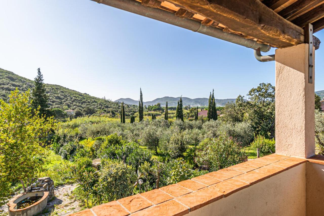 Case Vacanza Filetto A Marina Di Campo Literno Экстерьер фото